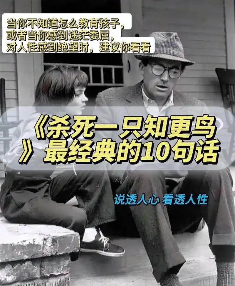 人生必读经典——《杀死一只知更鸟》人在年轻的时候,一定要看看 - 抖