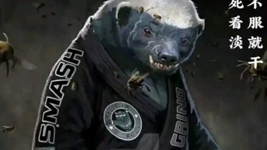 最喜欢的平头哥壁纸来咯