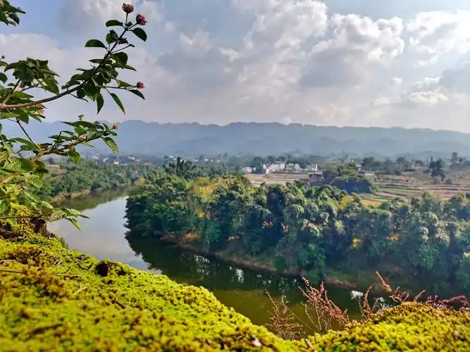 伴生之地故乡风光61美丽乡村四川泸州泸县所踏之处皆是故乡步履不停