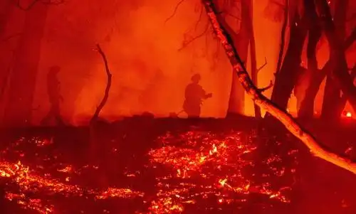 美国大火失控?加州7000多个建筑物被焚烧,戴口罩防浓烟病毒