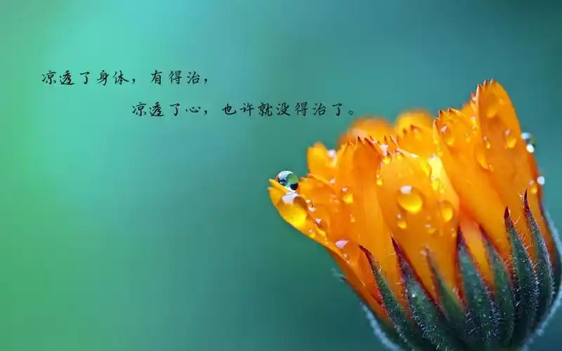 简介 一句话让人心凉透的说说图片:心凉了,挽回的却只是失望和无奈