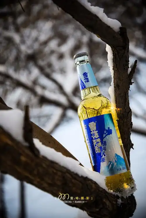 《雪花啤酒》美食 产品 环境 哈尔滨雷鸣摄影