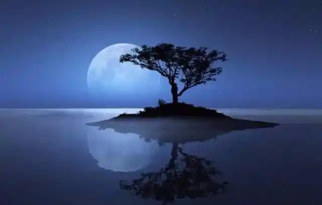 王阳明:明月清风不用钱