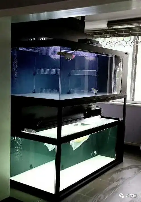 您的鱼缸真的安全吗?_玻璃_厚度_酸性