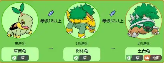 草苗龟首先是御三家中草属性的宝可梦草苗龟,草苗龟的最终形态为草