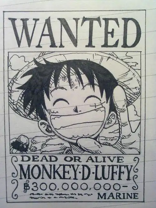 路飞通缉令画的很小呵呵