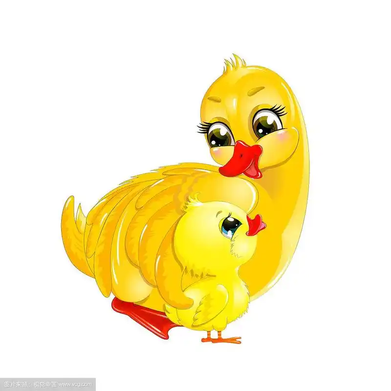 鸭妈妈和小鸭