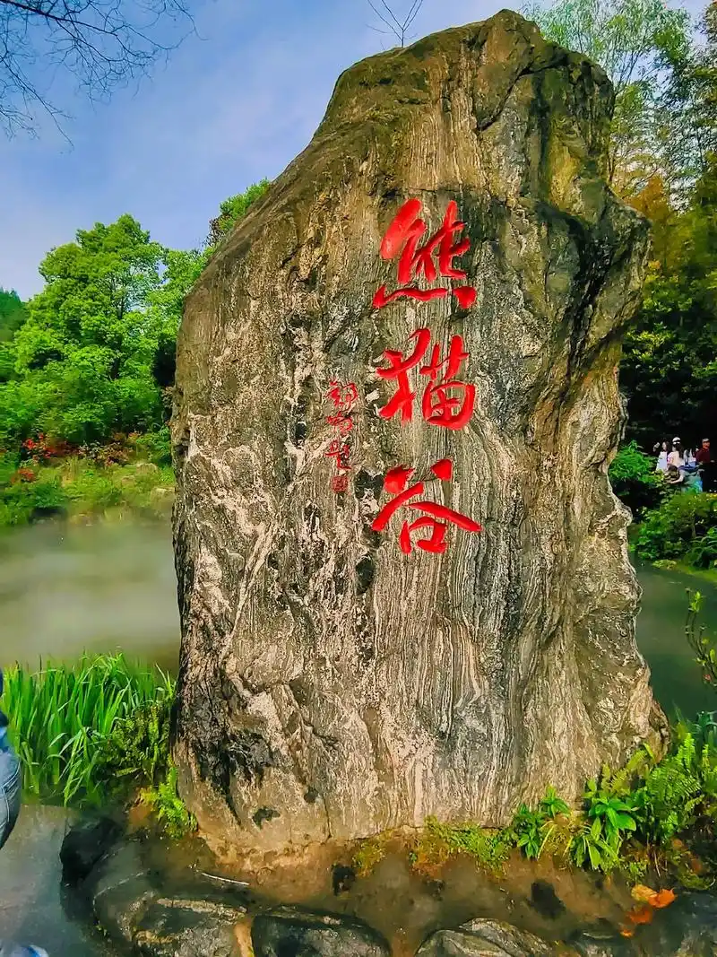 熊猫谷-照片.- 我从不怀疑自己的眼光,没办成的事怪自己没本 - 抖音