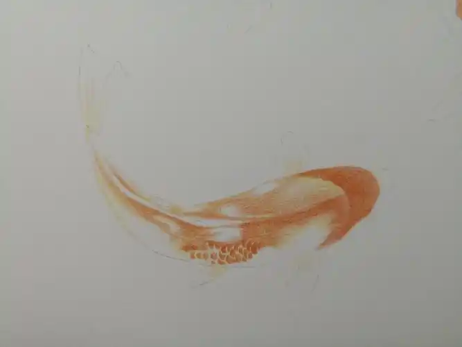 彩铅红鲤鱼