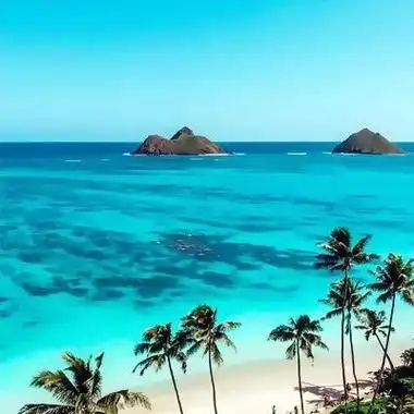 清新淡雅能带来好运的大自然风景头像