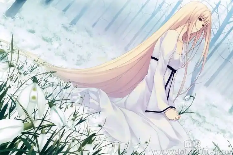 会员画集杉菜水姫花葬121p