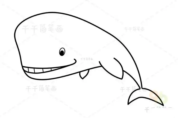 抹香鲸骨头简笔画