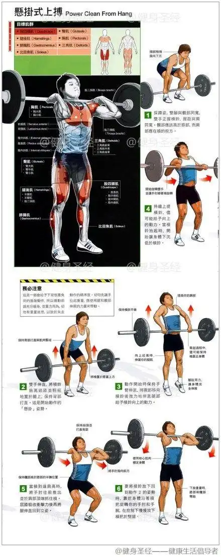 【悬挂式上搏】这个动态举重的动作需要很好的协调能