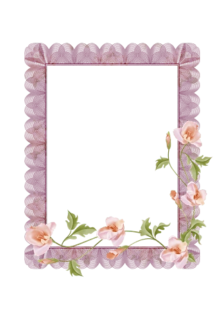 边框细图片大全