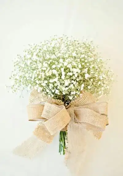 满天星聊天背景