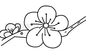 梅花怎么画 梅花简笔画步骤 - 聚巧网