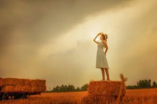 场景丰收的麦田出镜浅笑心柔摄影韩易