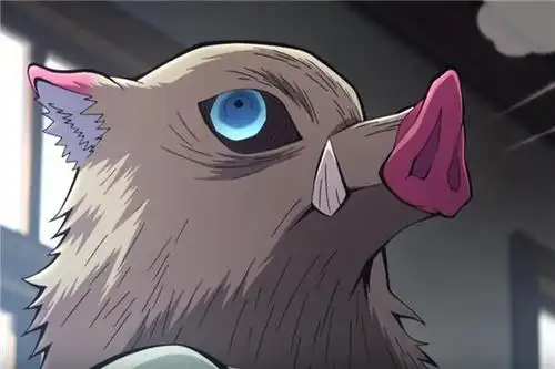 伊之助:激将法蝴蝶忍看着年纪不大,实际上已经经历了多次与鬼的战斗.