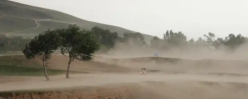 梦见狂风大作预示什么 梦见狂风大作有什么征兆