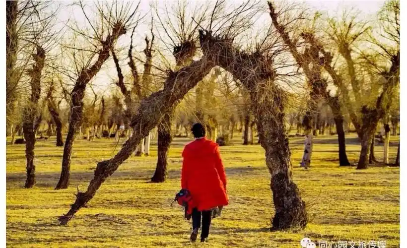 背影……2018年我们美好朦胧的背影渐行渐远.愿2019更加光明.