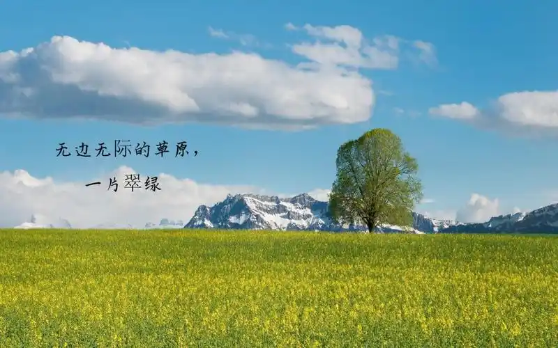 上一组 上一张 3/9张图片 下一张 下一组 相关专题 文字图片唯美风景