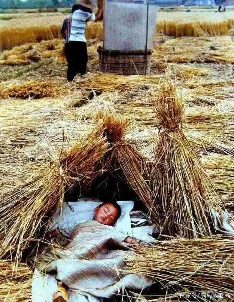 70～80年代的我们,是不是有着这样的过往呢?记忆中的童年