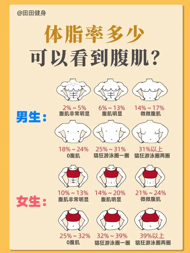 男生女生体脂率多少能看到腹肌?