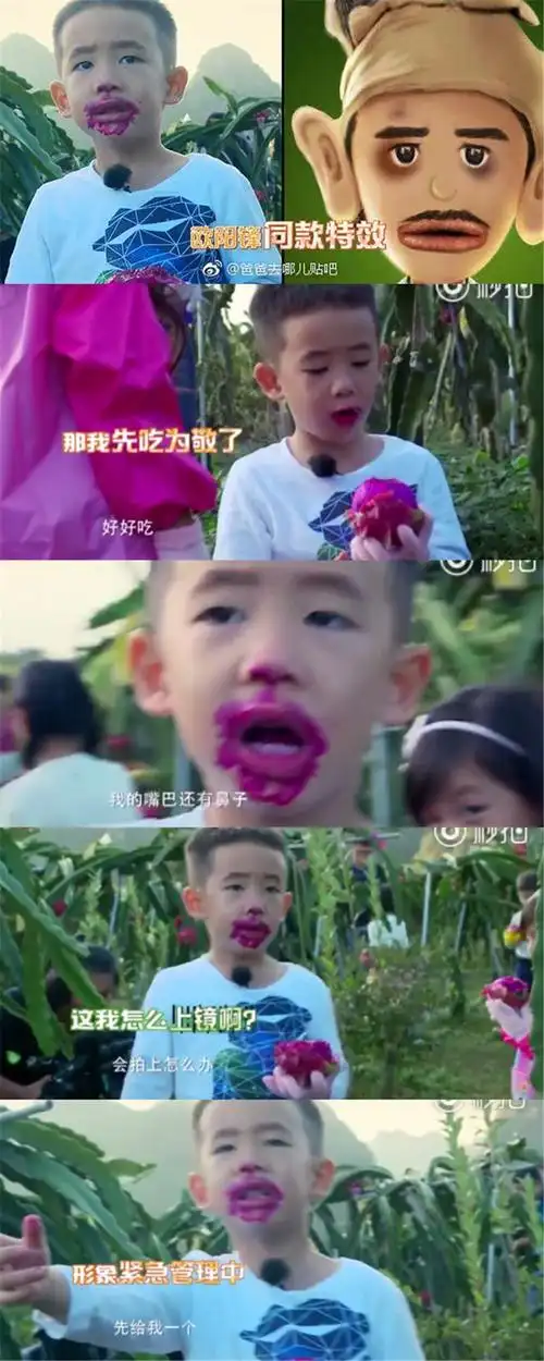 在接下来一起的节目中,jasper因为吃火龙果吃得太过忘我结果吃成"q版