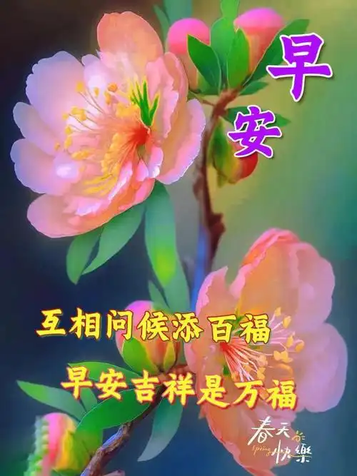 早安图片大全早上好清晨温馨唯美祝福图片带问候语