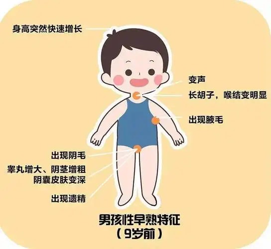测测您家孩子发育是否正常吧~快来对照下边的青春期发育指标图男孩