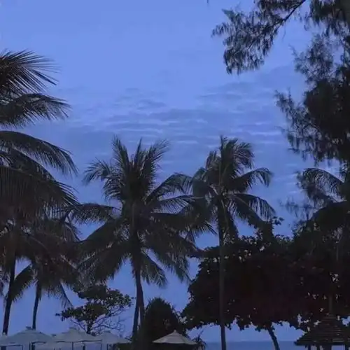 有没有好看的微信背景图?