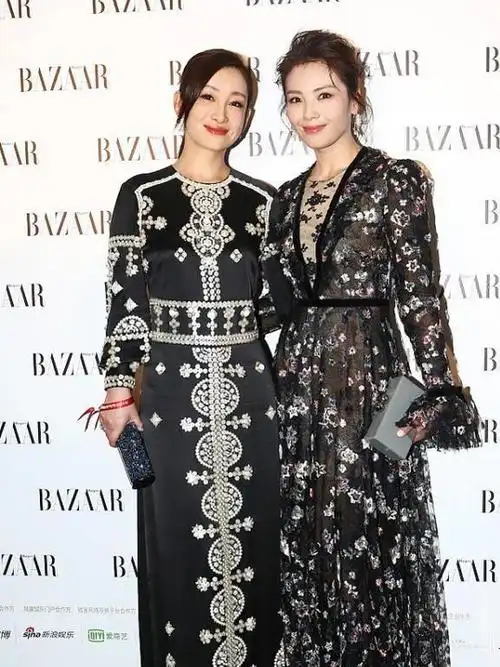 刘涛和秦海璐同穿深色系礼服气质却差很大一个优雅一个前卫