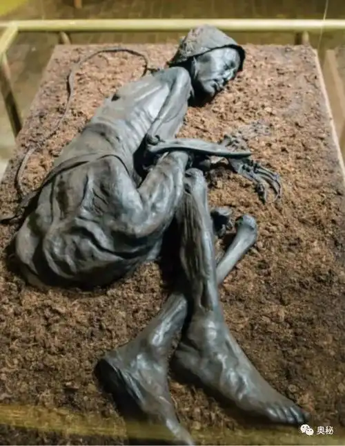 博物馆馆长想到了一个办法,将人体最致密的骨骼部分,接近头颅基部提取