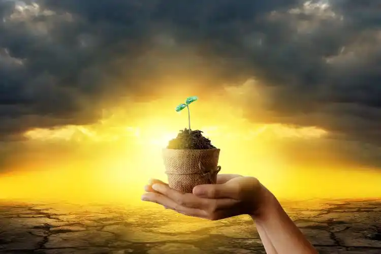 「喜乐的心乃是良药;忧伤的灵使骨枯干.