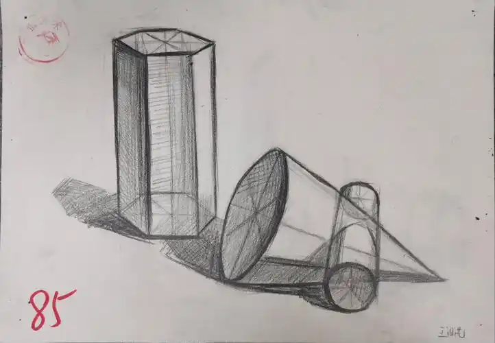 王涵艺 五年级 明暗交界线刻画比较到位,结构准确,线条有力,在画的