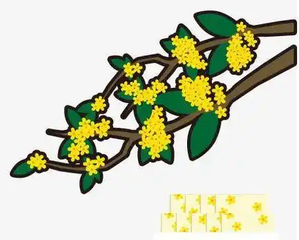 简笔画就分享到这里,了解更多桂花 简笔画,桂花简笔画简单又漂亮,桂花