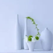 qq头像清新淡雅_清新淡雅纯净心灵