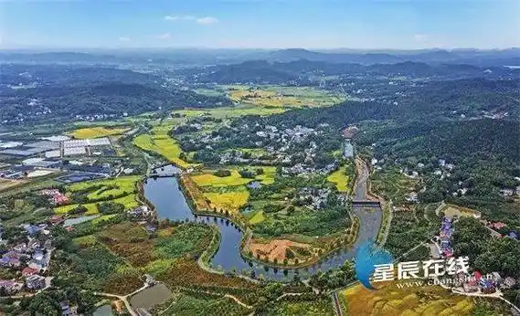 "亮"出文明村镇新气象 | 莲花镇:文明铺就振兴路 乡镇开出幸福花