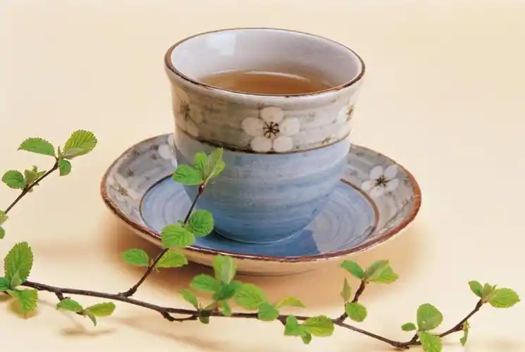 人生如茶,静心以对