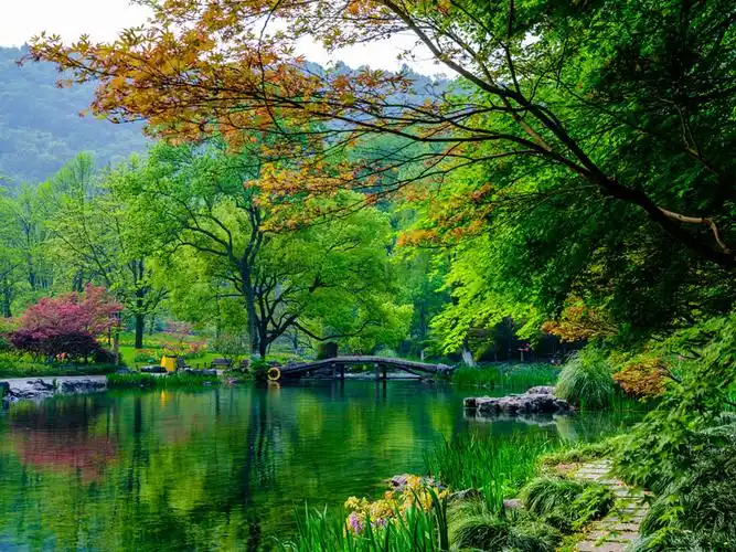 太子湾公园图片