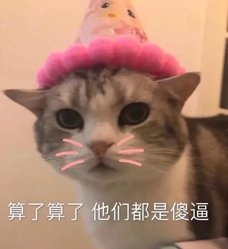 难受生气可爱萌宠沙雕表情包图片