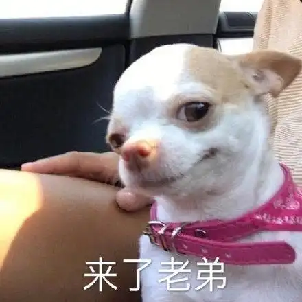 可以的,小老弟表情包 - 可以的,小老弟微信表情包 - 可以的,小老弟qq