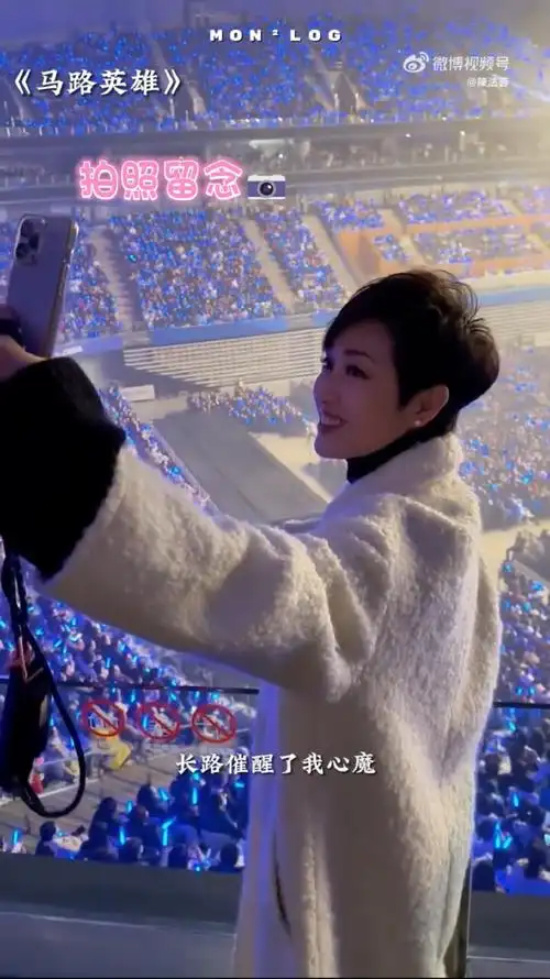 陈法蓉去看张学友演唱会