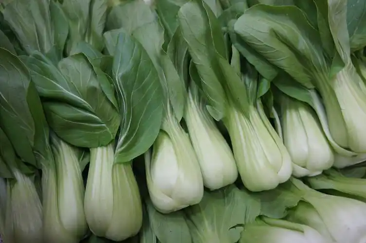 青江菜(300g±)