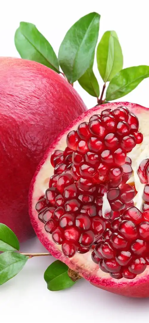 石榴,白色背景 1242x2688 iphone 11 pro/xs max 壁纸,图片,背景,照片