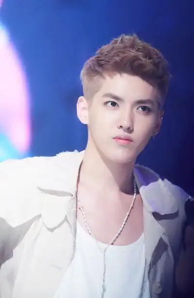 发布到  exo 图片评论 0条  收集   点赞  评论  kris 吴亦凡 大拍行