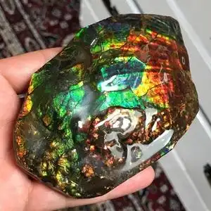 加拿大斑彩石摆件斑彩螺化石原矿天然原石彩宝家居摆饰直邮包邮