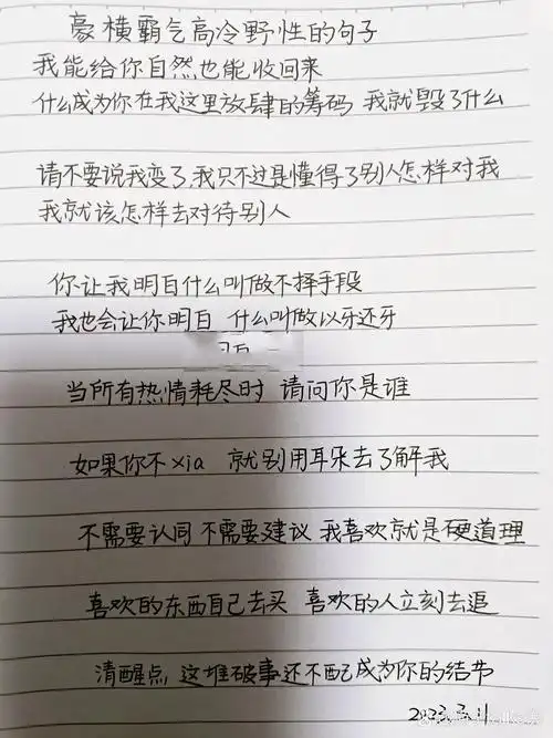 手写|豪横霸气高冷野性的句子