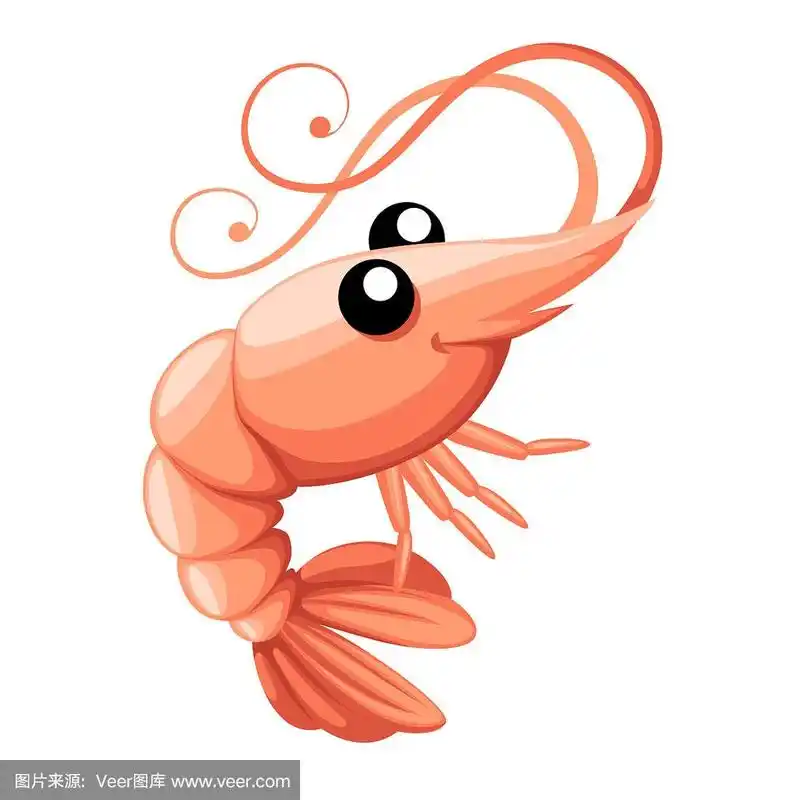 可爱的小虾.卡通动物角色设计.游泳的甲壳类动物.