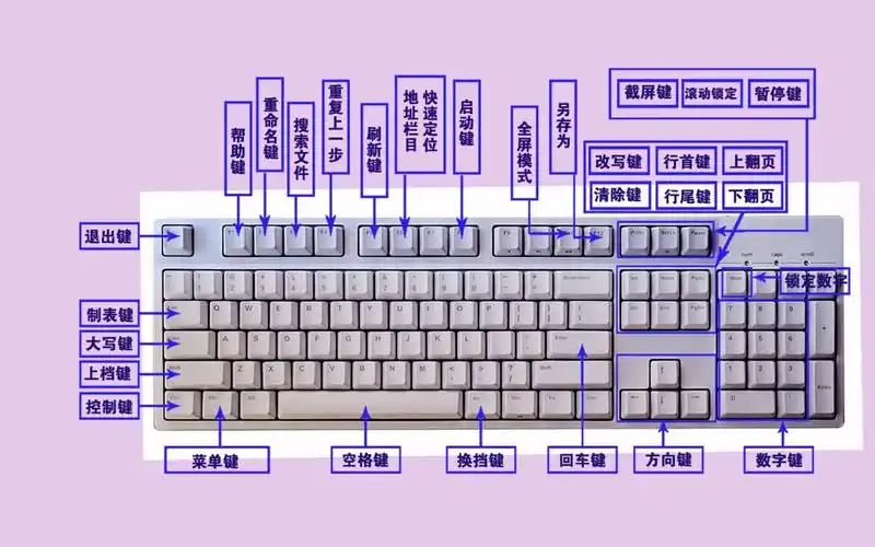 零基础快速学电脑:第2节;认识键盘,以及键盘基本操作的详解!